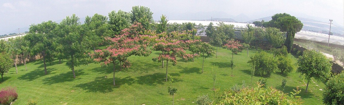 il-parco